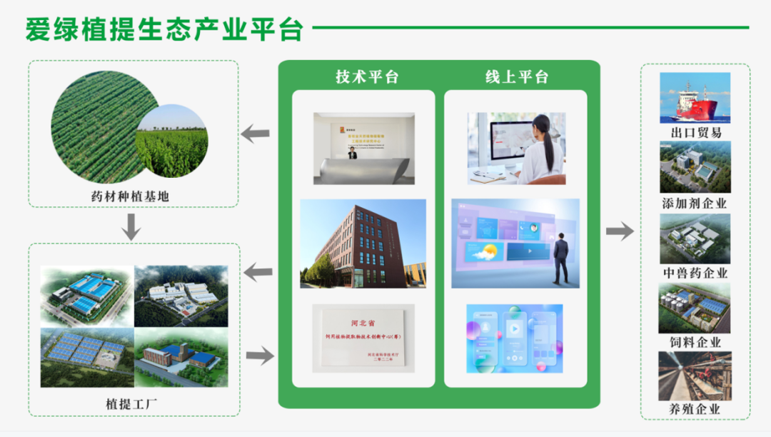 云顶集团·(中国)手机版app下载